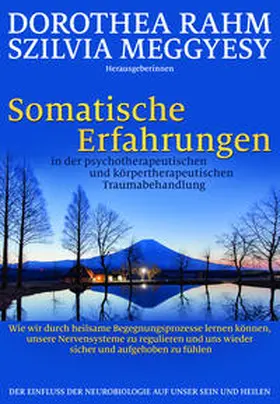 Rahm / Meggyesy |  Somatische Erfahrungen in der psychotherapeutischen und körpertherapeutischen Traumabehandlung | Buch |  Sack Fachmedien