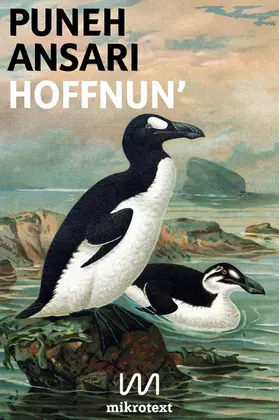 Ansari |  Hoffnun' | eBook | Sack Fachmedien