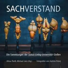 Theiß / Lierz |  Sachverstand | Buch |  Sack Fachmedien