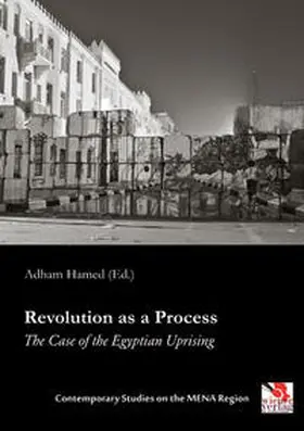 Hamed |  Revolution as a Process | Buch |  Sack Fachmedien