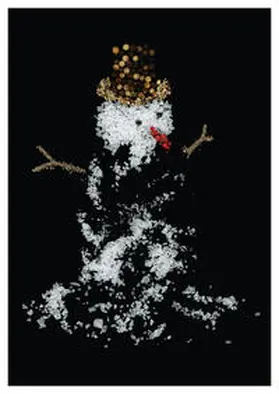  Weihnachtspostkarten-Set „Fotokunst trifft Weihnachten“ SALTY | Buch |  Sack Fachmedien