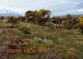 Kessl |  Räume tauschen | Buch |  Sack Fachmedien
