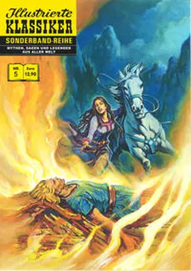 Das Ende der Walküre | Buch |  Sack Fachmedien