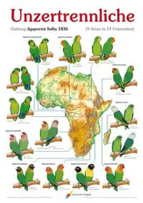 Arndt |  Poster Unzertrennliche | Sonstiges |  Sack Fachmedien