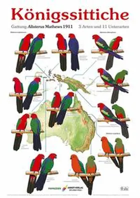Arndt |  Poster Königssittiche | Sonstiges |  Sack Fachmedien