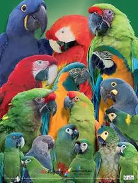 Arndt |  Poster Aras | Sonstiges |  Sack Fachmedien