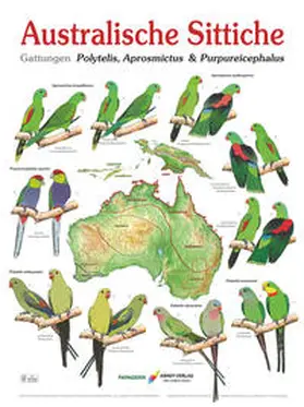 Arndt |  Poster Australische Sittiche 2 | Sonstiges |  Sack Fachmedien