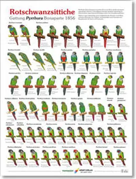 Arndt |  Poster Rotschwanzsittiche | Sonstiges |  Sack Fachmedien