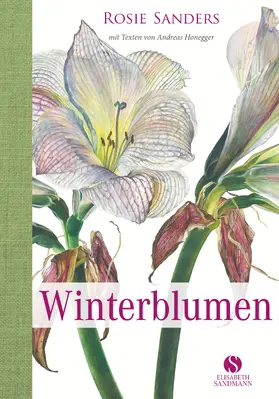 Sanders |  Winterblumen | Buch |  Sack Fachmedien