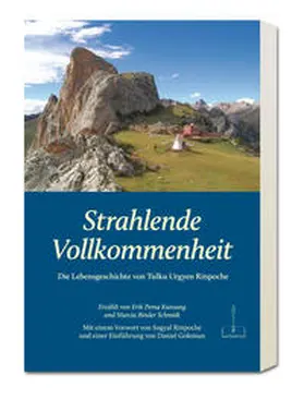  Strahlende Vollkommenheit | Buch |  Sack Fachmedien