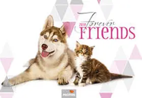 PHOTON |  FOREVER FRIENDS Kalender 2018 | Sonstiges |  Sack Fachmedien