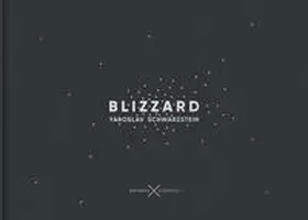 Schwarzstein |  Blizzard | Buch |  Sack Fachmedien