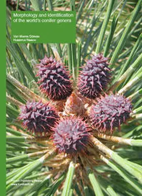 Dörken / Nimsch |  Morphology and identification of the world’s conifer genera | Buch |  Sack Fachmedien