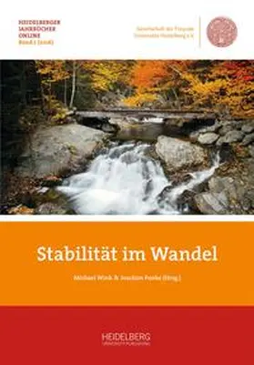 Funke / Wink |  Stabilität im Wandel | Buch |  Sack Fachmedien