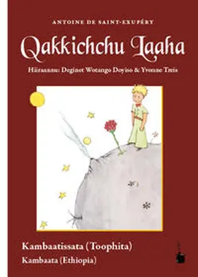 Saint Exupéry |  Qakkichchu Laaha | Buch |  Sack Fachmedien