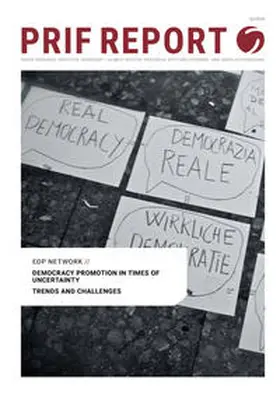 EDP Network |  Democracy Promotion in Times of Uncertainty | Buch |  Sack Fachmedien