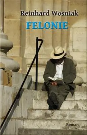 Wosniak |  Felonie | Buch |  Sack Fachmedien