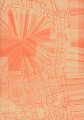Meincke / Scheuermann / Berg |  Nico Joana Weber – Tropic Telecom | Buch |  Sack Fachmedien