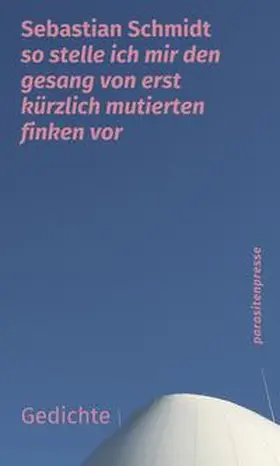 Schmidt |  so stelle ich mir den gesang von erst kürzlich mutierten finken vor | Buch |  Sack Fachmedien