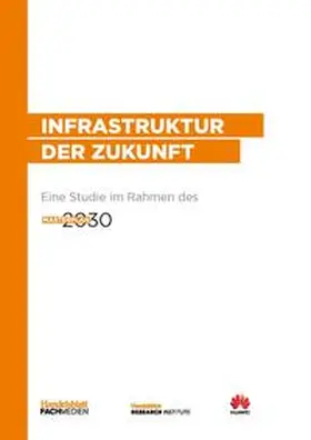 Haupt / Jung / Lichter |  Infrastruktur der Zukunft | Buch |  Sack Fachmedien