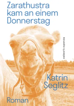 Seglitz |  Zarathustra kam an einem Donnerstag | Buch |  Sack Fachmedien