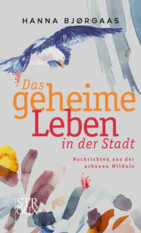 Bjørgaas |  Das geheime Leben in der Stadt | Buch |  Sack Fachmedien