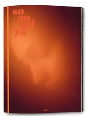 Wells / Kazarin / Kozachenko |  Solomiya No.3 | Buch |  Sack Fachmedien