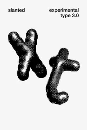 Harmsen / Ruhe |  Slanted Experimental Type 3.0 | Buch |  Sack Fachmedien