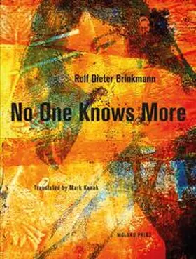 Brinkmann / Kanak |  No One Knows More | Buch |  Sack Fachmedien