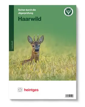  Haarwild | Buch |  Sack Fachmedien