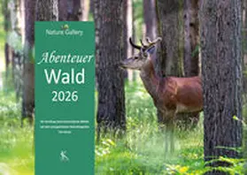 Schmook |  Abenteuer Wald 2026 | Sonstiges |  Sack Fachmedien