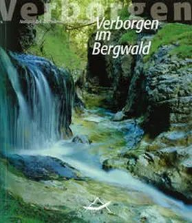 Haseke / Mayrhofer / Stückler |  Verborgen im Bergwald | Buch |  Sack Fachmedien
