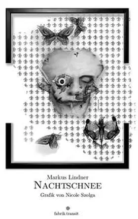 Lindner |  Nachtschnee | Buch |  Sack Fachmedien