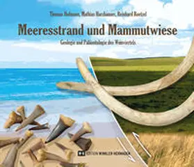 Hofmann / Harzhauser / Roetzel |  Meeresstrand und Mammutwiese | Buch |  Sack Fachmedien