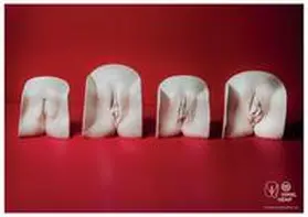 Himal Hemp e.U. / Andreas |  4 Vulven Vulva-Poster 594 x 420 mm von Himal Hemp und Vulvarium | Sonstiges |  Sack Fachmedien