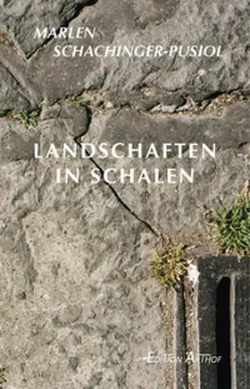 Schachinger-Pusiol |  Landschaften in Schalen | Buch |  Sack Fachmedien