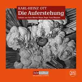 Ott |  Die Auferstehung | Sonstiges |  Sack Fachmedien