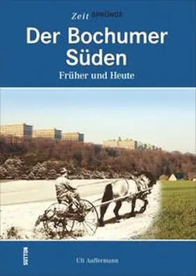 Auffermann |  Der Bochumer Süden | Buch |  Sack Fachmedien