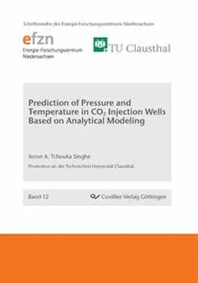 Tchouka Singhe |  Prediction of Pressure and Temperature in CO2 Injection Wells Based on Analytical Modeling | Buch |  Sack Fachmedien