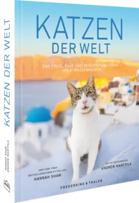 Shaw |  Katzen der Welt | Buch |  Sack Fachmedien