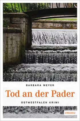 Meyer |  Tod an der Pader | Buch |  Sack Fachmedien
