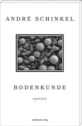 Schinkel |  Bodenkunde | Buch |  Sack Fachmedien