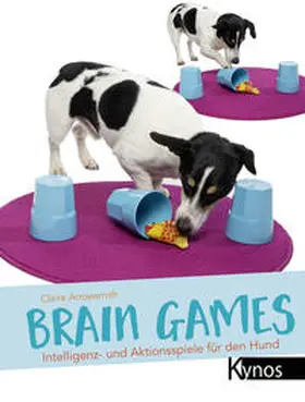 Arrowsmith |  Brain Games | Buch |  Sack Fachmedien