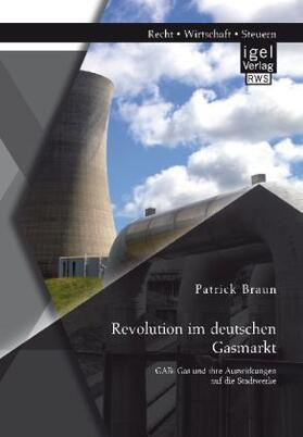 Braun |  Revolution im deutschen Gasmarkt: GABi Gas und ihre Auswirkungen auf die Stadtwerke | Buch |  Sack Fachmedien