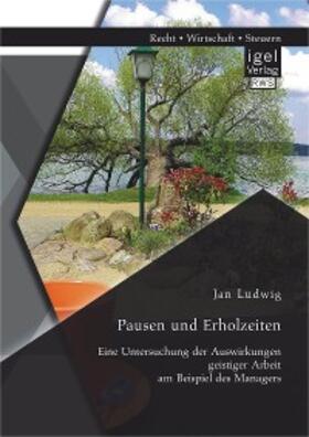 Ludwig |  Pausen und Erholzeiten: Eine Untersuchung der Auswirkungen geistiger Arbeit am Beispiel des Managers | eBook | Sack Fachmedien