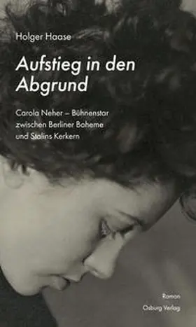Haase |  Aufstieg in den Abgrund | Buch |  Sack Fachmedien