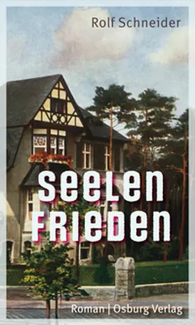 Schneider |  Seelenfrieden | Buch |  Sack Fachmedien