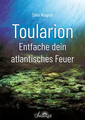 Wagner |  Toularion | Buch |  Sack Fachmedien