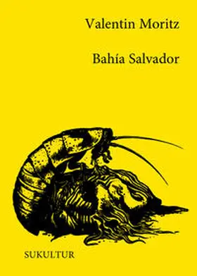 Moritz |  Bahía Salvador | Buch |  Sack Fachmedien