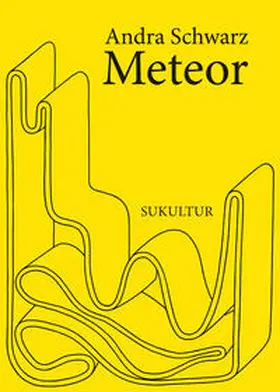 Schwarz |  Meteor | Buch |  Sack Fachmedien